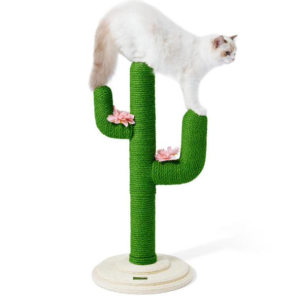 Petchain Cat Scratching Post Cactus Cat Scratcher