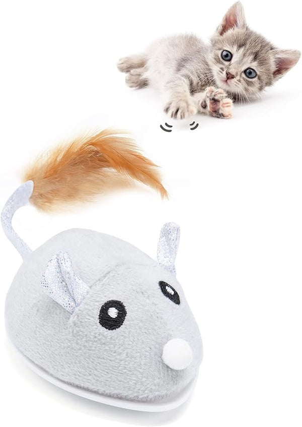 Petchain Interactive Cat Toy, Kitty Toys with USB Charging